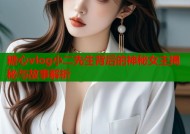 糖心vlog小二先生背后的神秘女主揭秘与故事解析