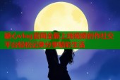 糖心vlog官网全新上线视频创作社交平台轻松记录分享精彩生活